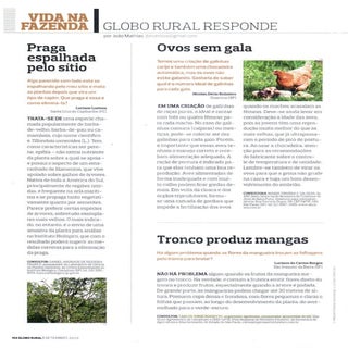 Cartas do leitor - Manga e Laranja