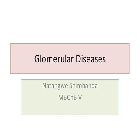 Glomerular diseases