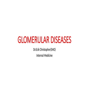Glomerular  diseases.1236384747848488pptx