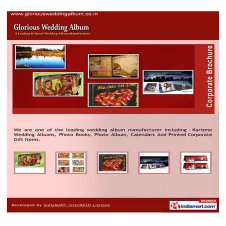 Glorious Wedding Album, Delhi, Wedding Albums, Photo Books