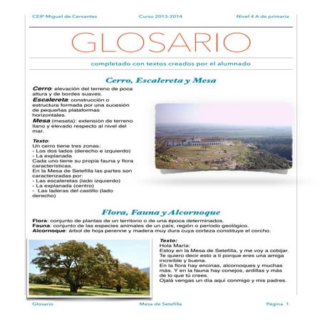 Glosario 4º A