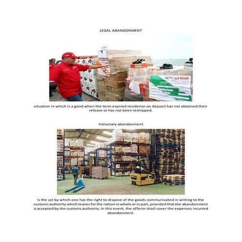 Glosario de regimen de importaciom