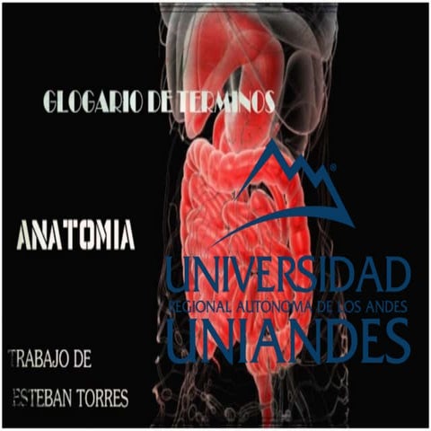 Glosario de terminos digestivos  -  Esteban Torres  SEGUNDO DE MEDICINA Paral...