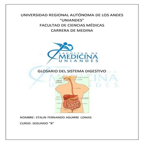 Glosario sistema digestivo