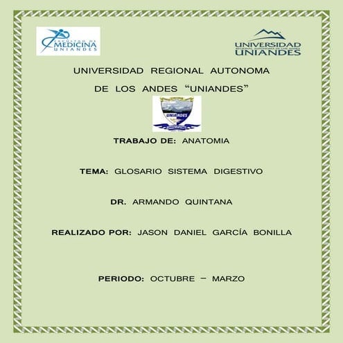 Glosario sistema digestivo