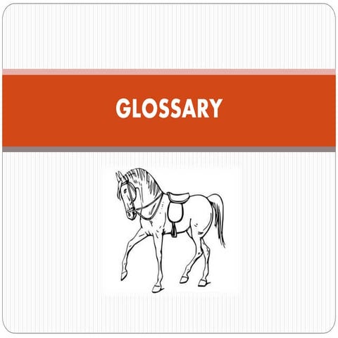 horse-riding-glossary-ppt
