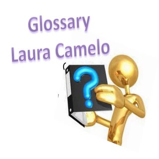 Glossary 