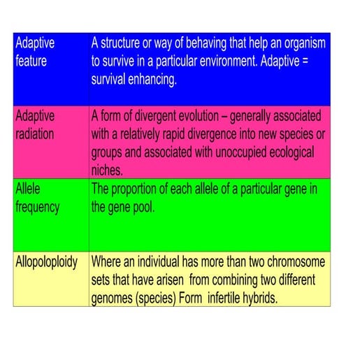 Glossary Patterns Of Evolution4 Lois