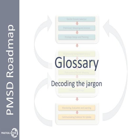 The PMSD Roadmap Glossary