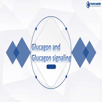 Glucagon and glucagon signaling-Creative Peptides