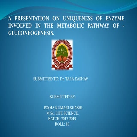 Gluconeogenesis Ppt Pptx