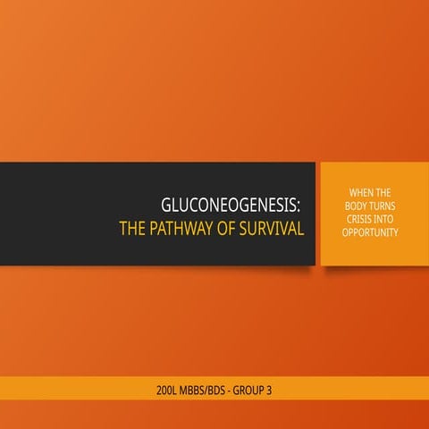 Gluconeogenesis_Presentation22.pptxhhhhhh