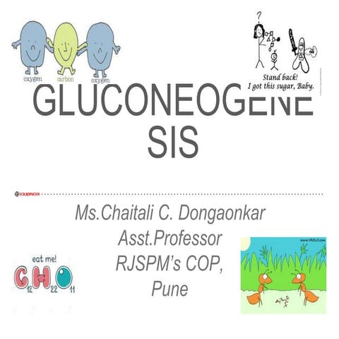 Gluconeogenisis