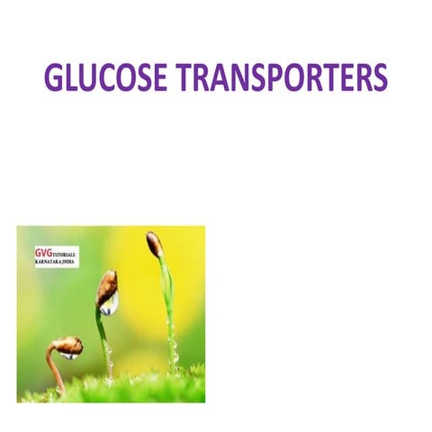Glucose Transporters.pptx