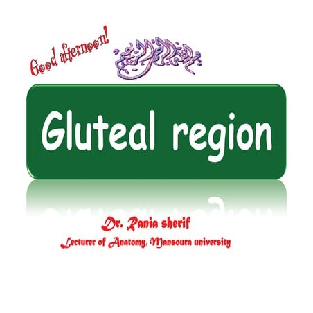 Gluteal region