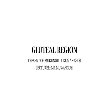 Anatomy of the Gluteal Region ppt presentation.pptx