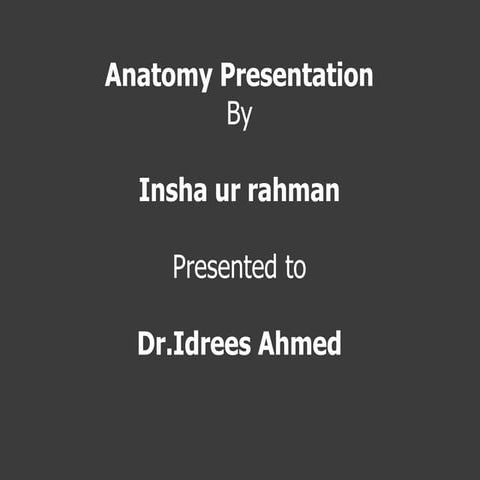 Gluteal region by insha ur rahman