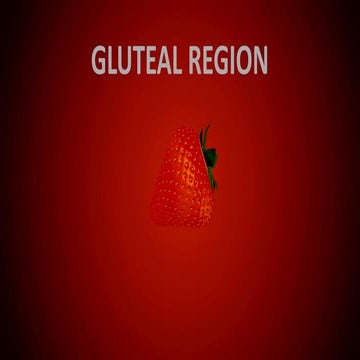 Gluteal region by ssk