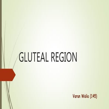 Gluteal region