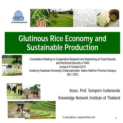 (1) Thailand Rice Value Chain December 1 2022.pdf