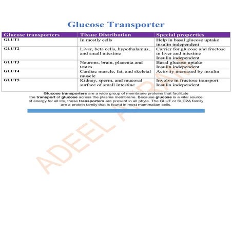 Glutes for glucose transporters