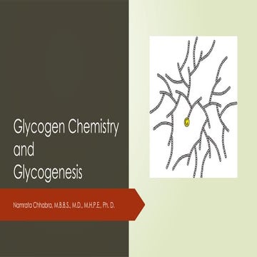 A Quick Review of Glycogen Chemistry and Glycogenesis