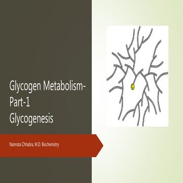 Glycogen  metabolism- revision