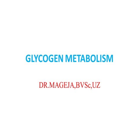 GLYCOGEN METABOLISM IN ANIMALS FOR VETS.pdf