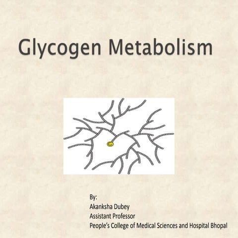 Glycogen metabolism and its regulation