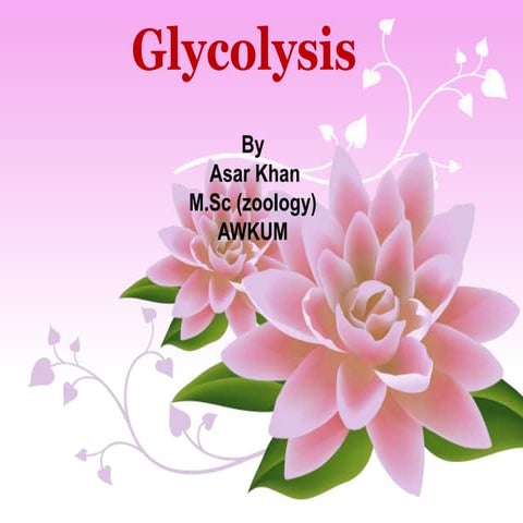 Glycolysis (10 Steps) By: Asar Khan