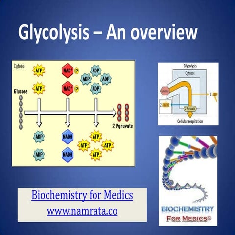 Glycolysis- An over view