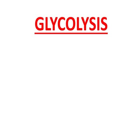 Glycolysis