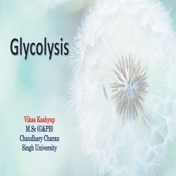 Glycolysis