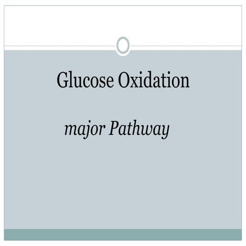Glycolysis - Glucose oxidation