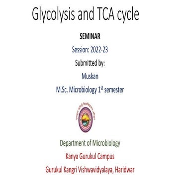 glycolysis and TCA CYCLE.pptx