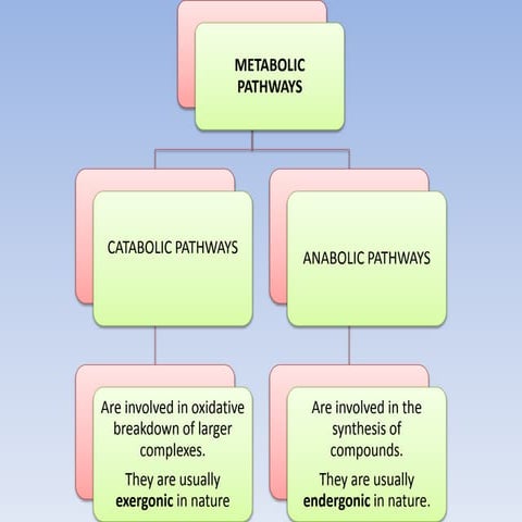 glycolysis pathway, energetics and significance.pdf