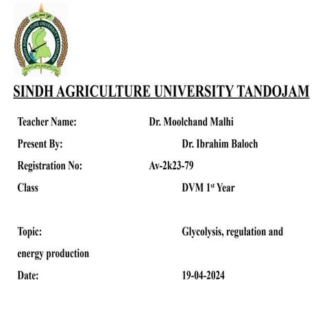 Glycolysis, regulation and energy production.pptx