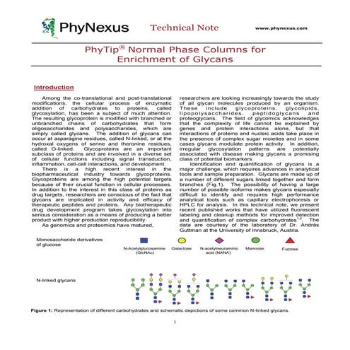 Antibody Glycan Analysis with Normal Phase PhyTip Columns