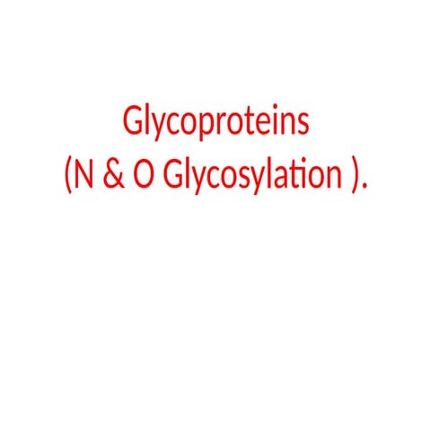 glycoproteins N and O glycosylation synthesis and functions