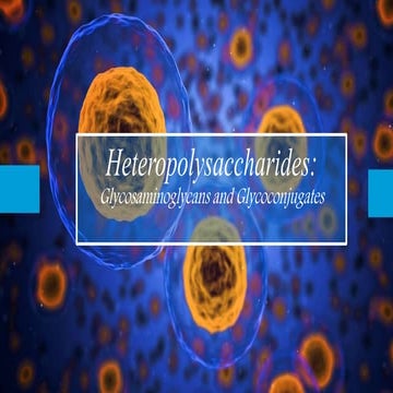 Glycosaminoglycams+Glycoconjugates (2) final.pptx