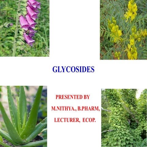 Glycosides- I D.Pharm ER-20:13T | PDF
