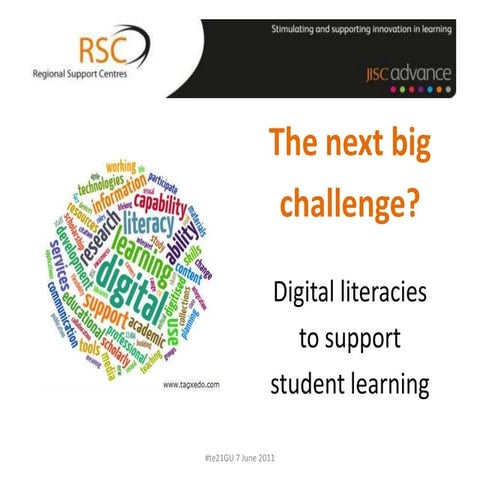 The next big challenge? Digital literacies to support student learning