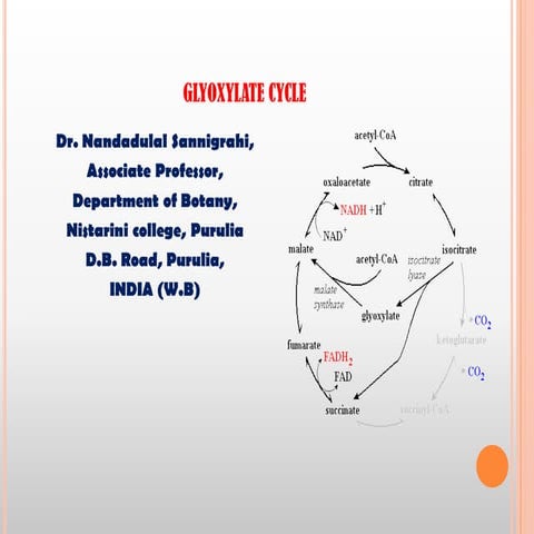 Glyoxylate Cycle- Basic idea and biochemical cycle with importane
