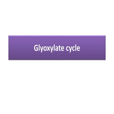 Glyoxylate cycle
