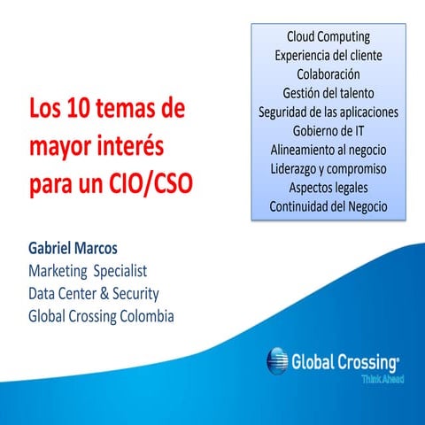 Temas de mayor interés para el CIO (2010)
