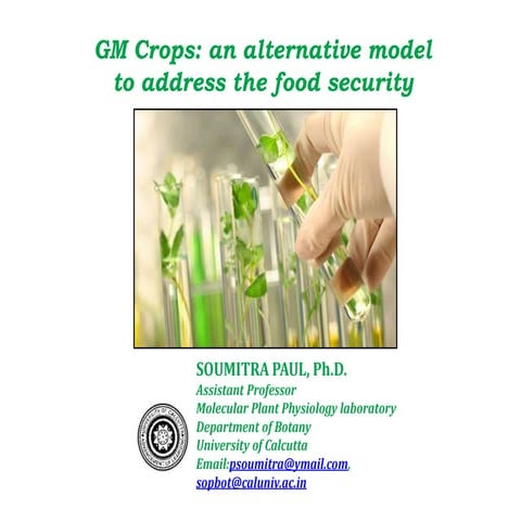 GM crops