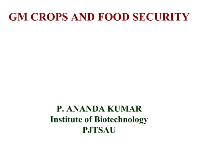 GM crops food security ppt