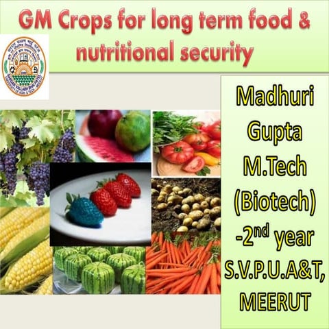 Gm crops for long term food and nutritional security