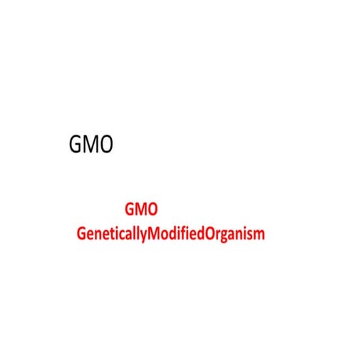 Gmo ในความคิดของฉัน