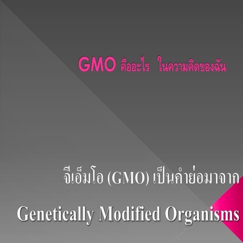 Gmo คืออะไร